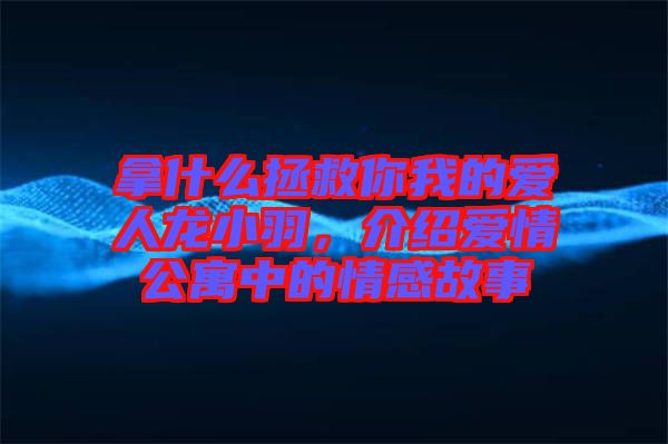 拿什么拯救你我的愛人龍小羽，介紹愛情公寓中的情感故事