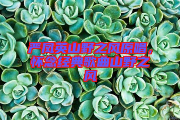 嚴鳳英山野之風(fēng)原唱，懷念經(jīng)典歌曲山野之風(fēng)