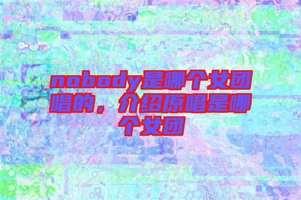 nobody是哪個女團唱的，介紹原唱是哪個女團