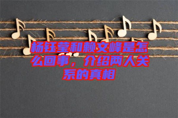 楊鈺瑩和賴文峰是怎么回事，介紹兩人關(guān)系的真相