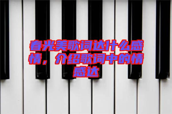 春光美歌詞達(dá)什么感情，介紹歌詞中的情感達(dá)