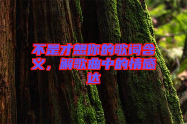 不是才想你的歌詞含義，解歌曲中的情感達(dá)