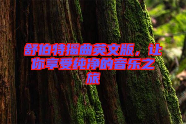 舒伯特?fù)u曲英文版，讓你享受純凈的音樂之旅