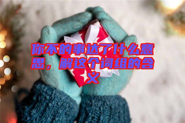 你不的事達(dá)了什么意思，解這個詞組的含義