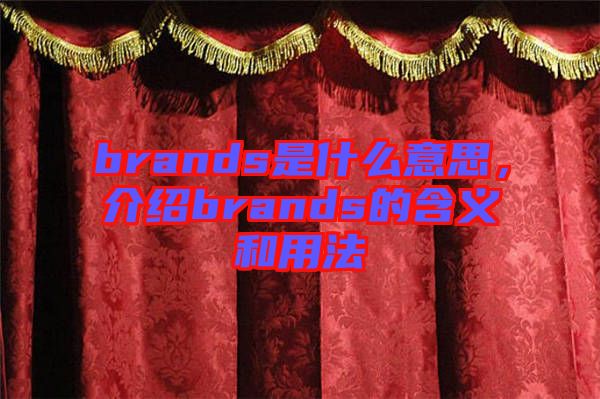 brands是什么意思，介紹brands的含義和用法