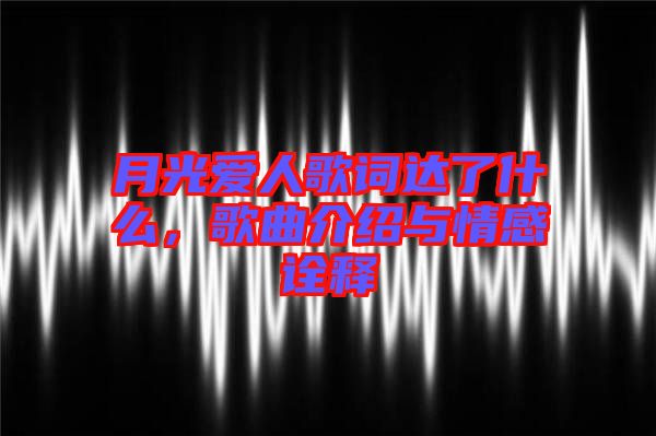 月光愛人歌詞達(dá)了什么，歌曲介紹與情感詮釋