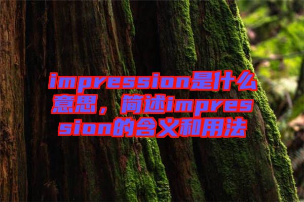 impression是什么意思，簡(jiǎn)述impression的含義和用法