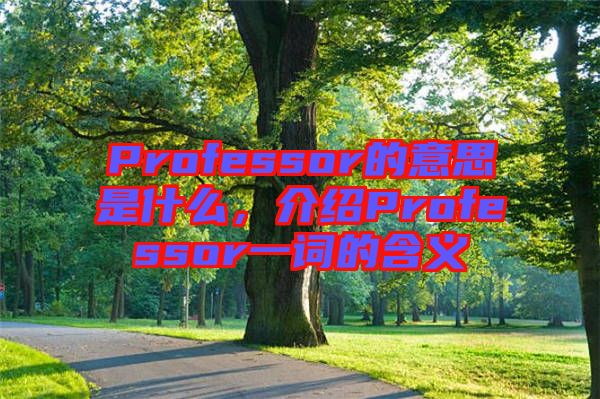 Professor的意思是什么，介紹Professor一詞的含義