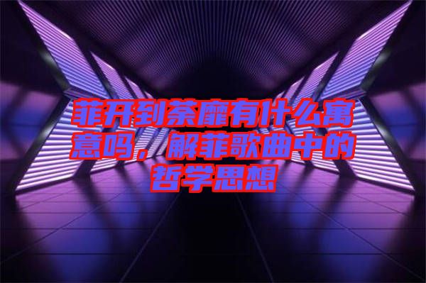 菲開到荼靡有什么寓意嗎，解菲歌曲中的哲學思想