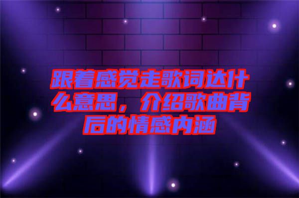 跟著感覺(jué)走歌詞達(dá)什么意思，介紹歌曲背后的情感內(nèi)涵