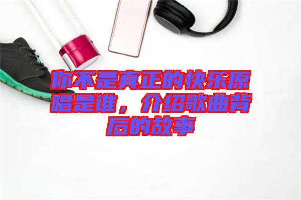 你不是真正的快樂原唱是誰，介紹歌曲背后的故事