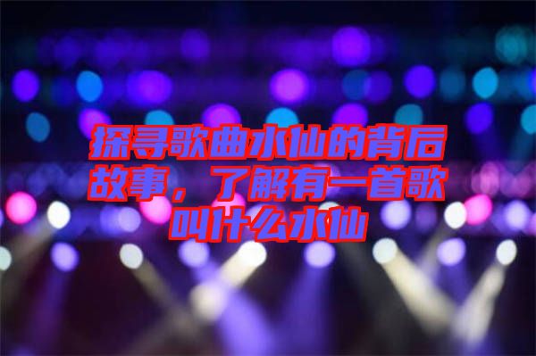 探尋歌曲水仙的背后故事，了解有一首歌叫什么水仙