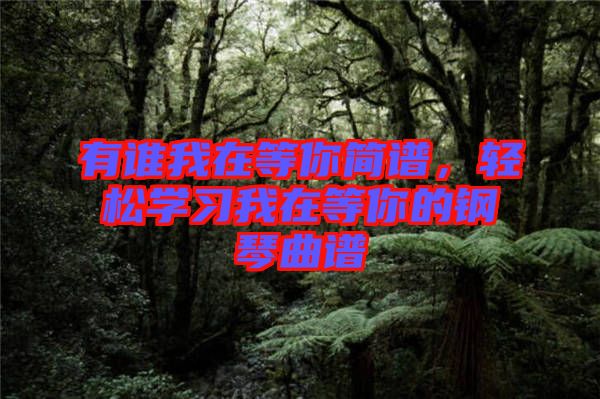 有誰我在等你簡譜，輕松學(xué)習(xí)我在等你的鋼琴曲譜