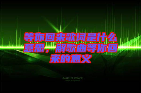 等你回來歌詞是什么意思，解歌曲等你回來的意義