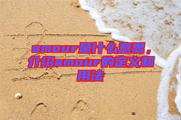 amour是什么意思，介紹amour的定義和用法