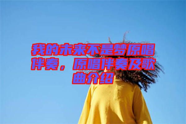 我的未來不是夢(mèng)原唱伴奏，原唱伴奏及歌曲介紹