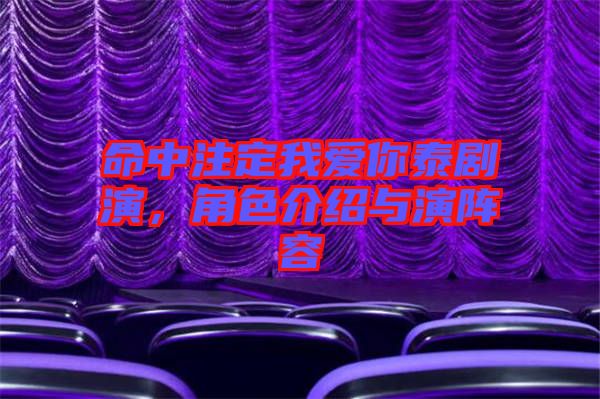 命中注定我愛你泰劇演，角色介紹與演陣容