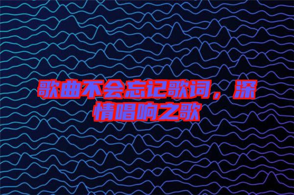 歌曲不會(huì)忘記歌詞，深情唱響之歌