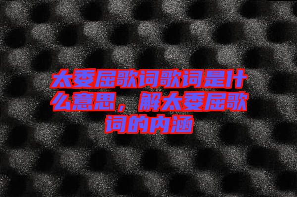 太委屈歌詞歌詞是什么意思，解太委屈歌詞的內(nèi)涵