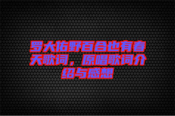 羅大佑野百合也有春天歌詞，原唱歌詞介紹與感想