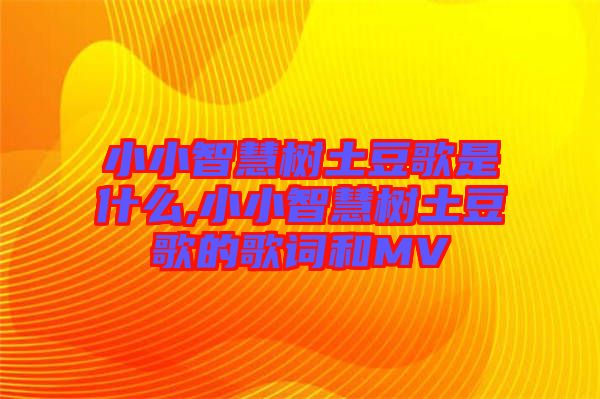 小小智慧樹(shù)土豆歌是什么,小小智慧樹(shù)土豆歌的歌詞和MV