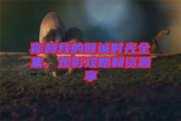 你和我的傾城時(shí)光全集，觀影攻略和資源享