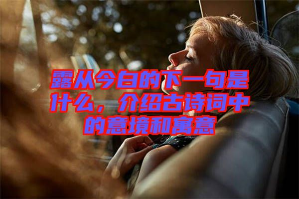 露從今白的下一句是什么，介紹古詩詞中的意境和寓意