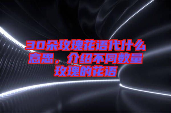 30朵玫瑰花語代什么意思，介紹不同數量玫瑰的花語