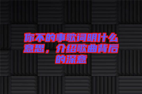 你不的事歌詞明什么意思，介紹歌曲背后的深意