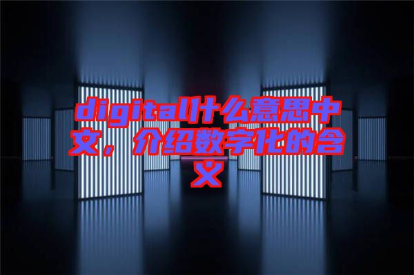 digital什么意思中文，介紹數字化的含義