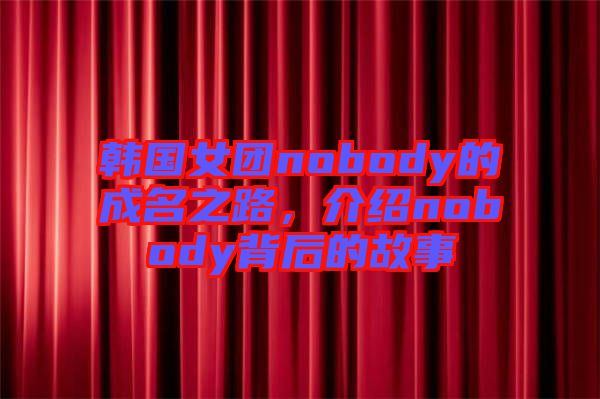 韓國女團(tuán)nobody的成名之路，介紹nobody背后的故事