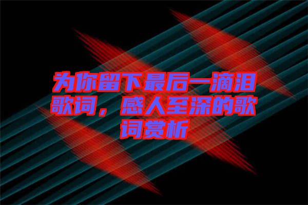 為你留下最后一滴淚歌詞，感人至深的歌詞賞析