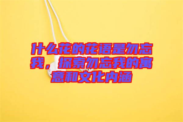 什么花的花語是勿忘我，探索勿忘我的寓意和文化內(nèi)涵