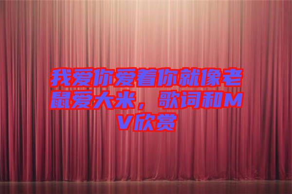 我愛你愛著你就像老鼠愛大米，歌詞和MV欣賞