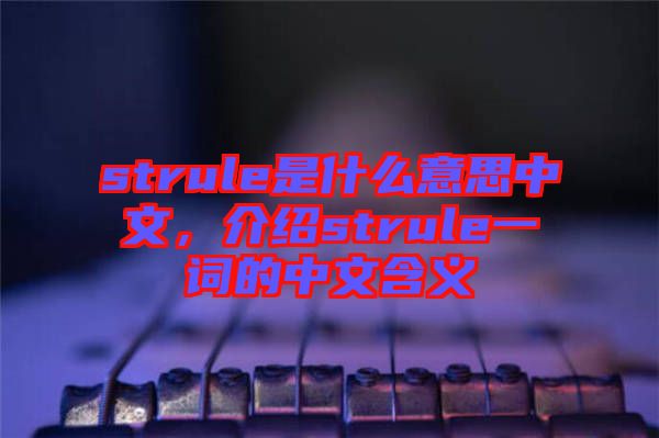 strule是什么意思中文，介紹strule一詞的中文含義