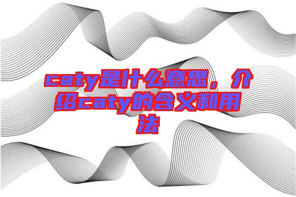 caty是什么意思，介紹caty的含義和用法