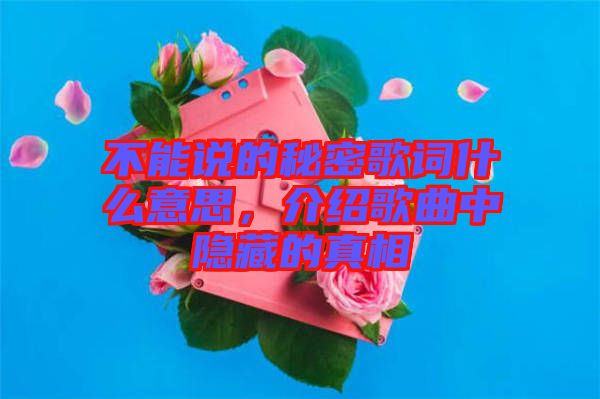 不能說的秘密歌詞什么意思，介紹歌曲中隱藏的真相