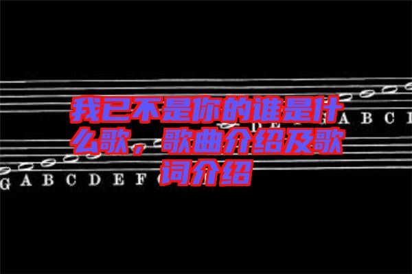 我已不是你的誰是什么歌，歌曲介紹及歌詞介紹