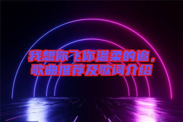 我想你飛你溫柔的追，歌曲推薦及歌詞介紹