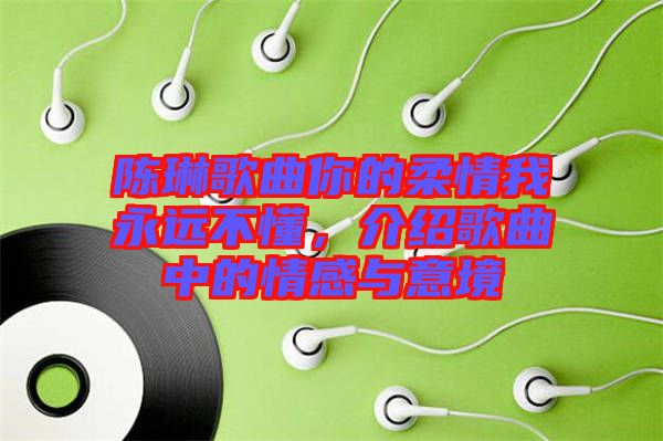 陳琳歌曲你的柔情我永遠(yuǎn)不懂，介紹歌曲中的情感與意境