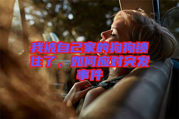 我被自己家的狗狗鎖住了，如何應(yīng)對突發(fā)事件