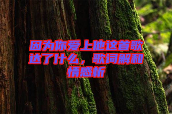 因?yàn)槟銗凵纤@首歌達(dá)了什么，歌詞解和情感析