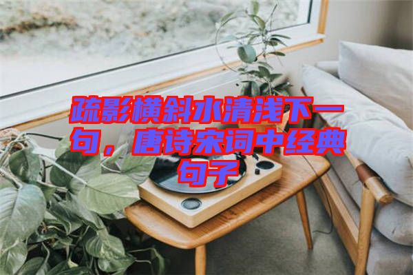 疏影橫斜水清淺下一句，唐詩(shī)宋詞中經(jīng)典句子