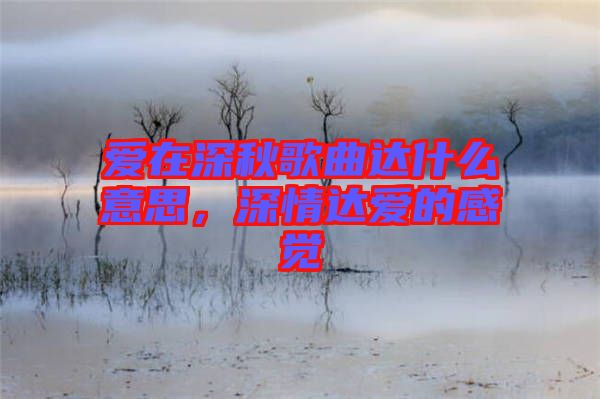 愛在深秋歌曲達(dá)什么意思，深情達(dá)愛的感覺