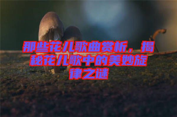 那些花兒歌曲賞析，揭秘花兒歌中的美妙旋律之謎