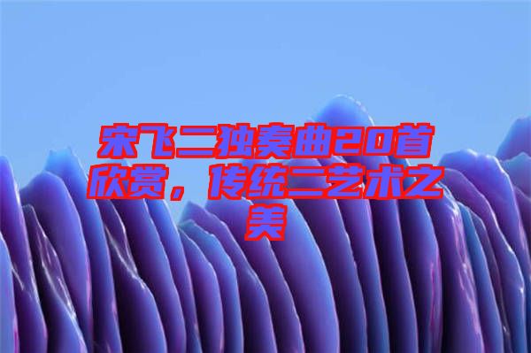 宋飛二獨(dú)奏曲20首欣賞，傳統(tǒng)二藝術(shù)之美