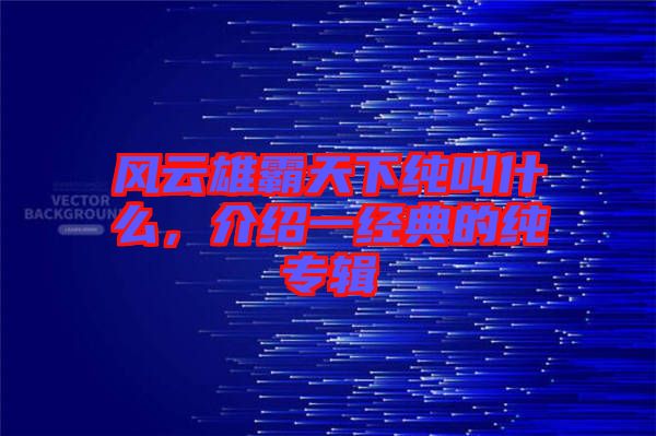 風(fēng)云雄霸天下純叫什么，介紹一經(jīng)典的純專(zhuān)輯