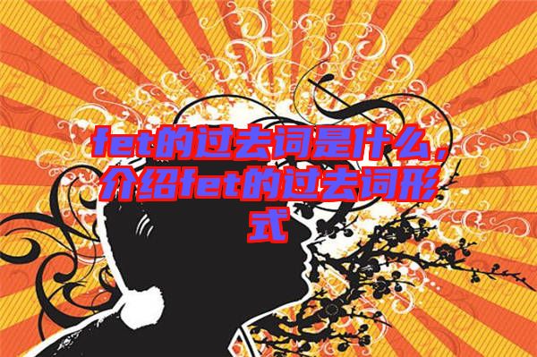 fet的過去詞是什么，介紹fet的過去詞形式