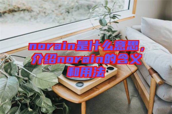 norain是什么意思，介紹norain的含義和用法