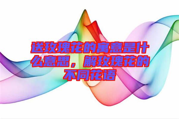 送玫瑰花的寓意是什么意思，解玫瑰花的不同花語